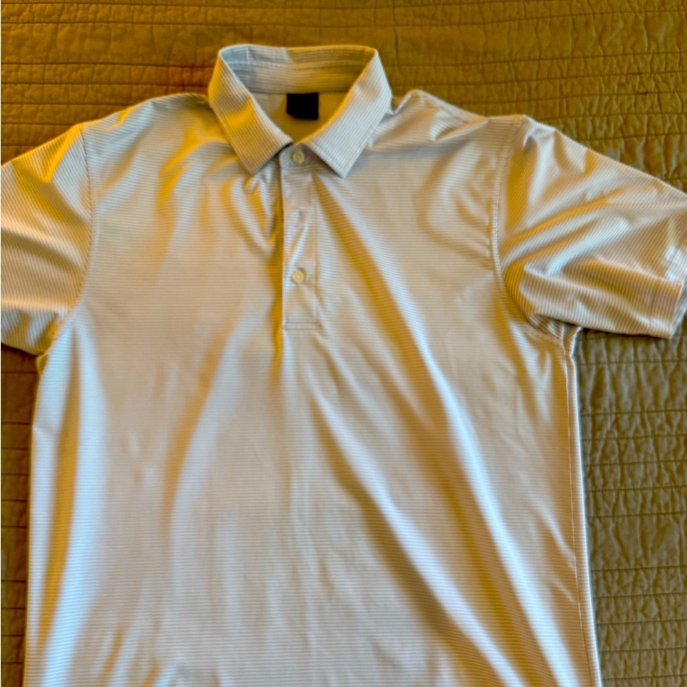 Dunning blue and white striped polo
